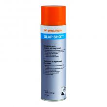 Walter Surface 53C502 - Aerosol 16.9 fl.oz., SLAP SHOT