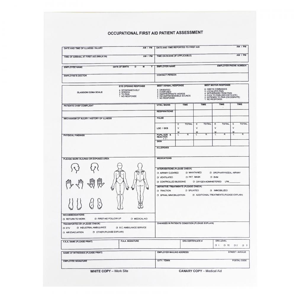 Patient Assessment Chart<span class=' ItemWarning' style='display:block;'>Item is usually in stock, but we&#39;ll be in touch if there&#39;s a problem<br /></span>